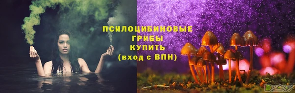 амф Елабуга