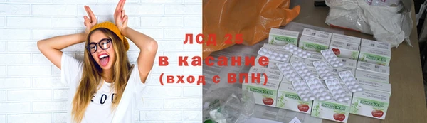 амф Елабуга