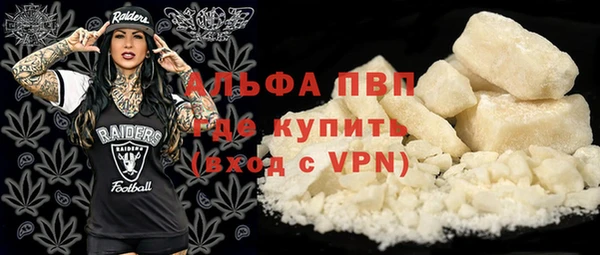 экстази Ельня