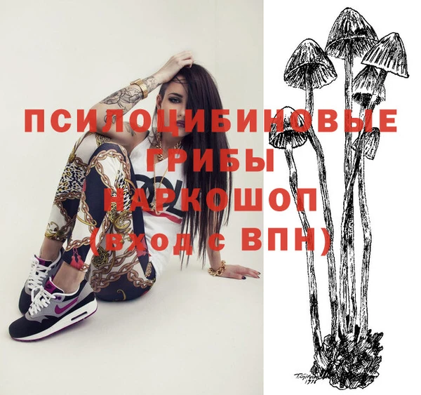 амф Елабуга